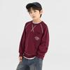Boys' Fashion Color Block Pullover Sweatshirt