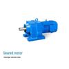 Tuoge Gear Reducer with Motor