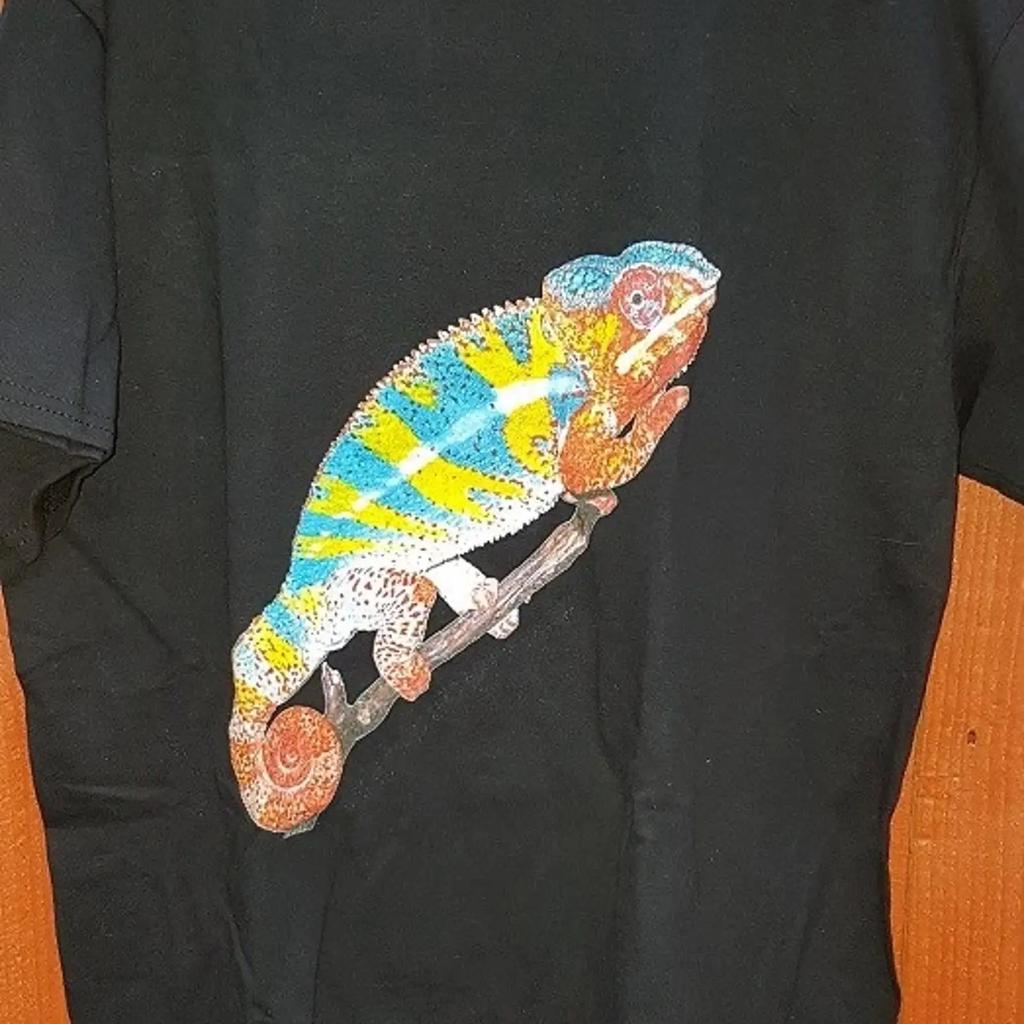 Chamleon T Shirt Erwachsene Gr Echsen Reptil Gratisversand Vintage Slightly Fashion Streetwear Soft Casual Stretched