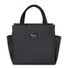 Popular Dual-Pocket Insulated Lunch Bag with Aluminum Foil: Handheld Bento and Picnic Bag with Ice Pack.