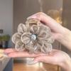 Cloud Bubble Mesh Feather Shark Hair Clip - 2023 Women's High-End Style