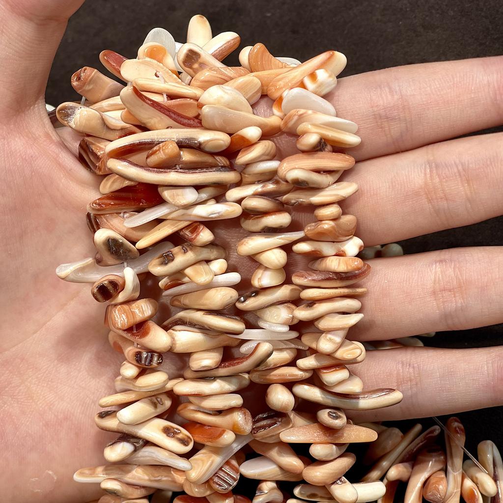 1 Strand Natural Cowrie Conch Shell Irregular Stick Beads 5×25mm 38cm Natural Red Stripe Sea Shell Loose Beads For DIY Necklace Jewelry