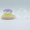 Floral Glow Garden Dome – 20 Tulips – LED USB