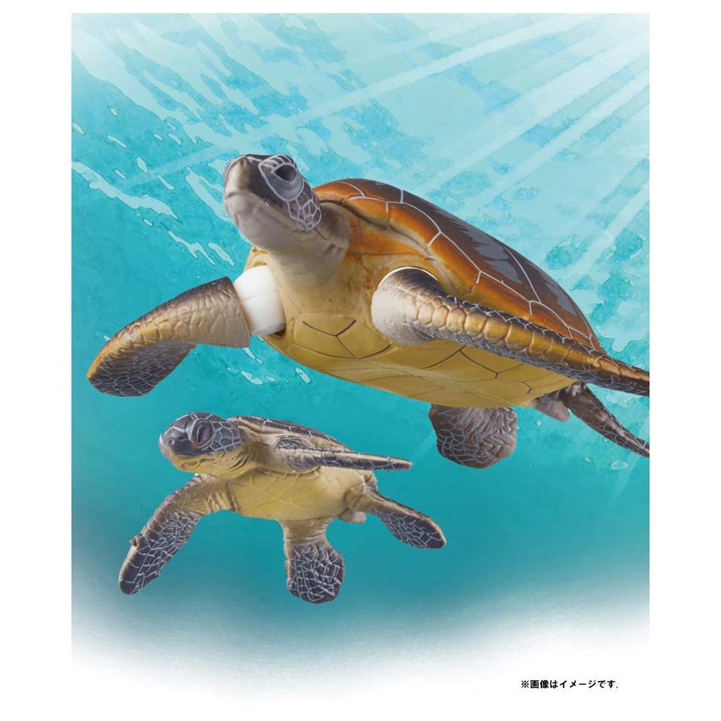 TAKARA TOMY Ania AS-20 Green Sea Turtle Family (Floating Version) Animal Dinosaur Toy