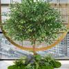 36pcs Realistic Fake Tree Branches and Leaves Heavy-Duty Plastic Greenery with Lush Dark Green Foliage Indoor/Outdoor Decoration