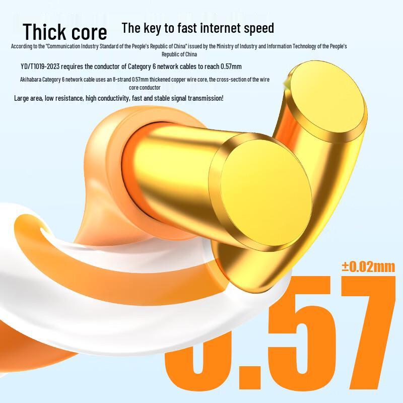 

Choseal Cat6 Gigabit Ethernet Cable 50m
