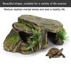 Reptile – Îngrijirea reptilelor
