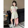 Girls' Summer Clothes Wear Children's Clothing Girl Setup Toddler Kids Sets  Girls' Set Tracksuit