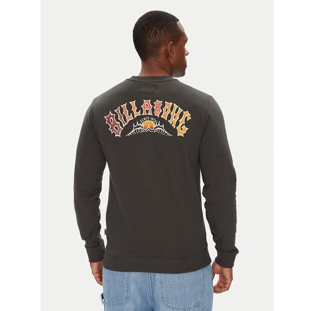 Толстовка Billabong Foundation Cr