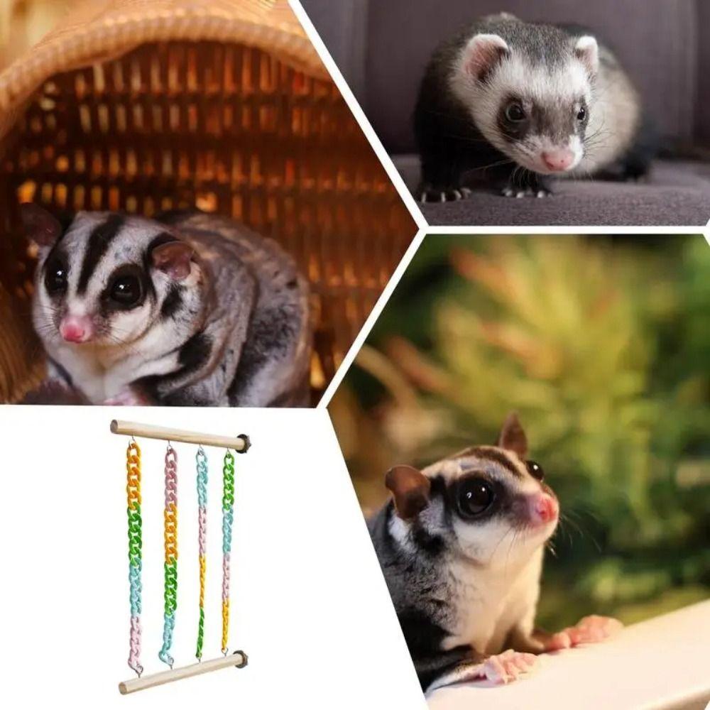Colorful Chains Mice Rope Swing Stand Natural Wood Climbers  For Sugar Gliders Rats Hamsters
