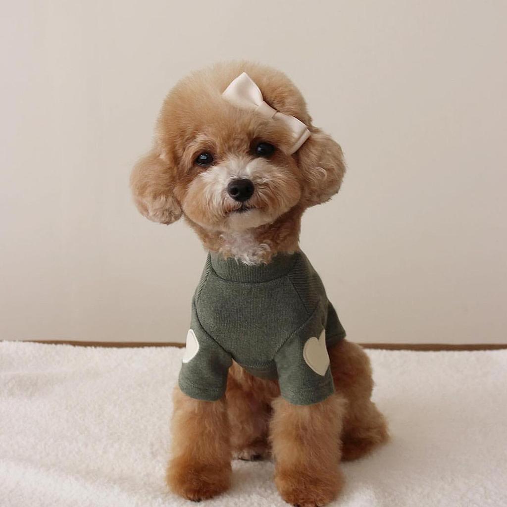 Autumn/Winter Heart Embroidery Hoodie for Teddy, Pomeranian, Bichon, & Small Dogs/Cats
