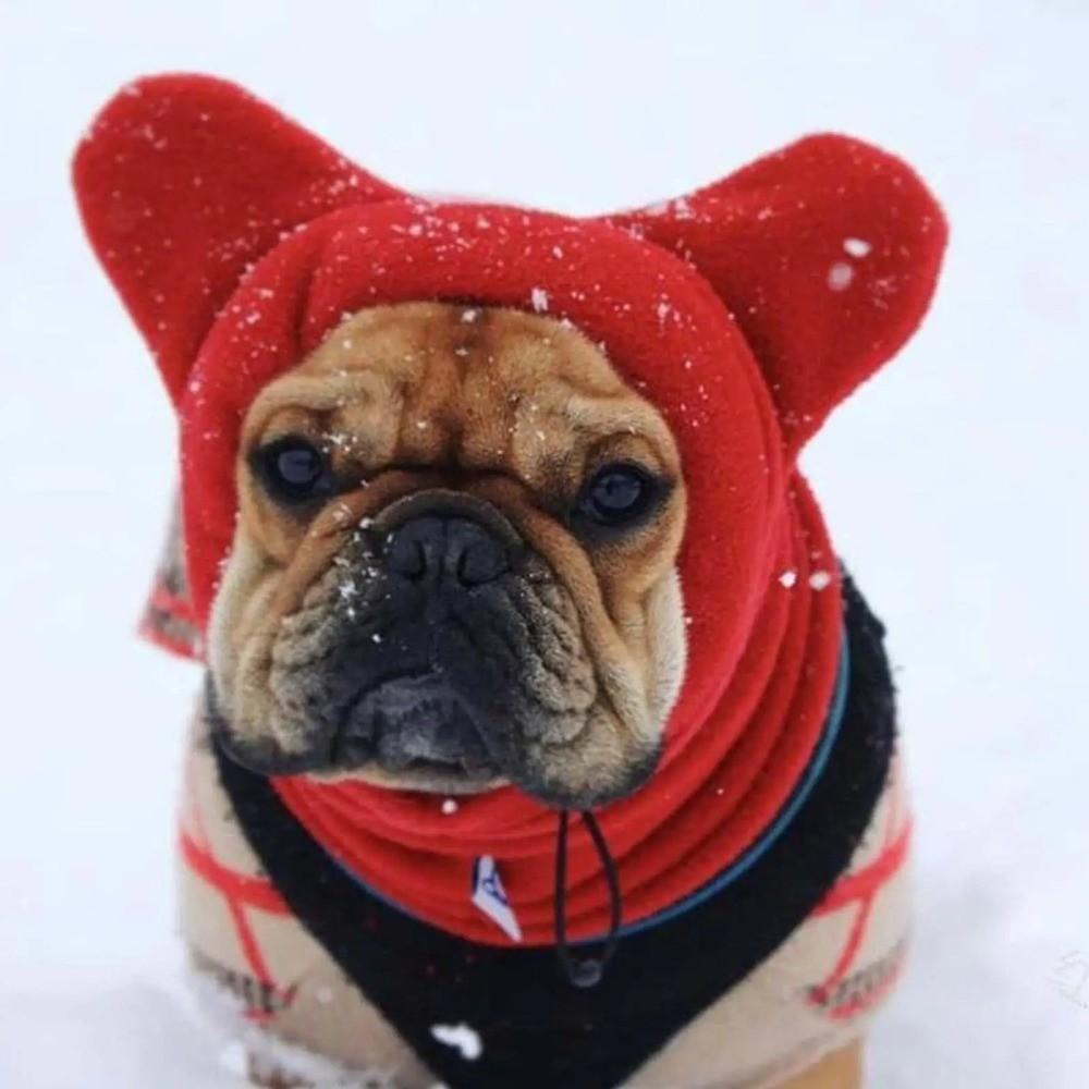 Solid Color Dog Fleece Hats Adjustable Soft Dog Headgear Breathable Comfortable Dog Ears Hoodie Caps for Puppy Dogs