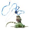 Reptile Leash Turtle Lizard Adjustable Blue Harness Outdoor Training Strap Pet Training Reptile Leash Pet Harness