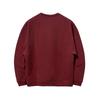 Li Ning Anti-Five Series Classic Versatile Trendy Hoodie Men hoodies AWDUD11-6