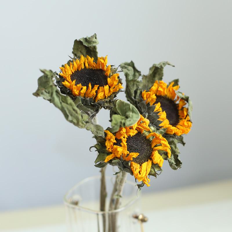 Yunnan Dried & Immortal Flowers Bouquet: Baby's Breath, Roses, Forget-Me-Nots for Home & Homestay Decor