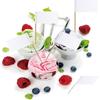 Blank Toothpick Flag Small Mini Labeling Marking DIY Stick Flags for Cocktail Fruit Cupcakes Toppers Food Decorations,100 Pack(White)