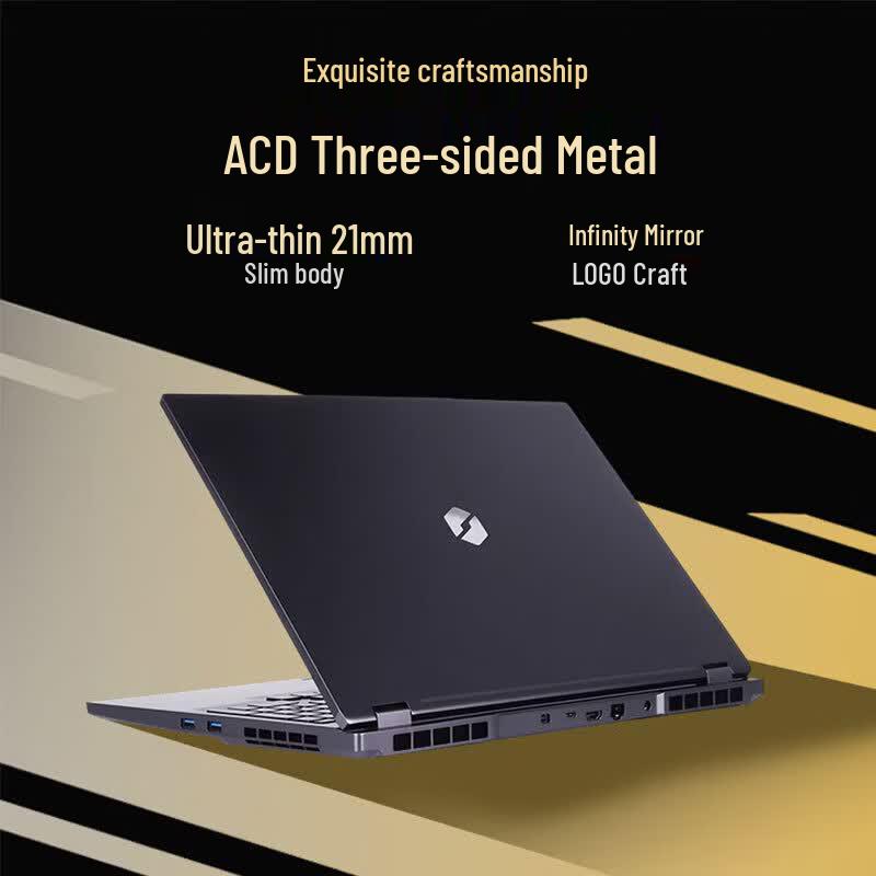 Mechanical Revolution Canglong 16Pro Gaming Laptop (CN version)