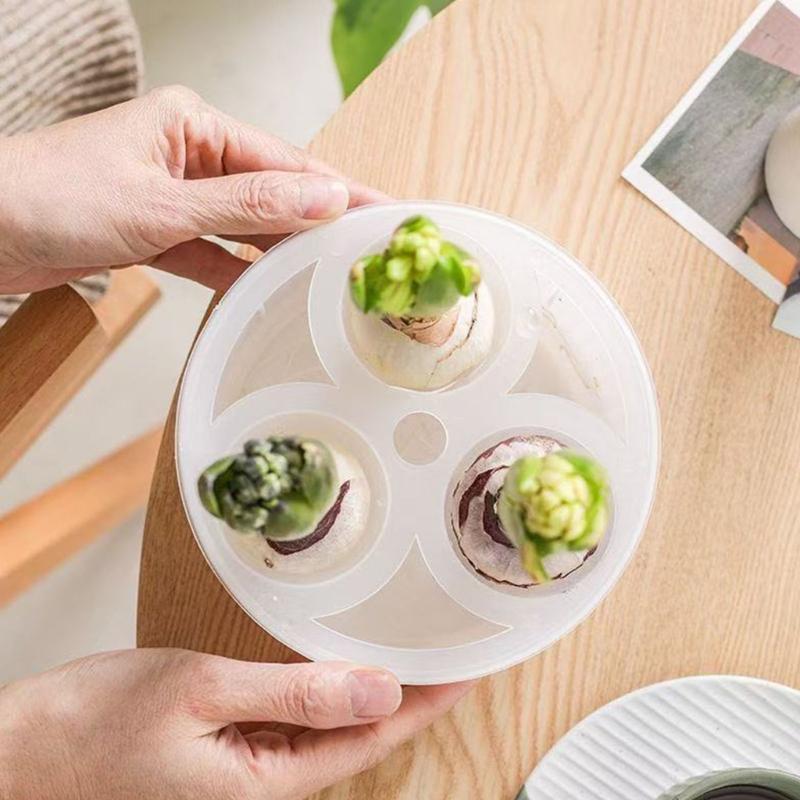 Multifunctional Hydroponic Planter With Dividers Shatterproof Plastic Water Planting Container For Hyacinth Growing