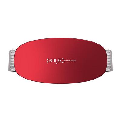 Pangao Smart Lumbar Massager with Heat and Pulse CN Plug (adapter Included)