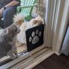 PETLESO Small Dog Door for Screen Door, Cat Door 8"×10" Magnetic Flap Self-Closing, Pet Screen Door for Sliding Door, Puppy Doggy and Cat Door Built