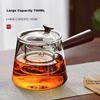 TEAHUE Glass Tea Pot with Side Handle, Tea Infuser Set with Separation, Glass Tea Set with Heating Functio