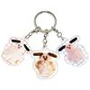 Mojojojo Acrylic Keychain Set Dogs Marimo Craft Todd Friends MJJJ003 3-piece - - -