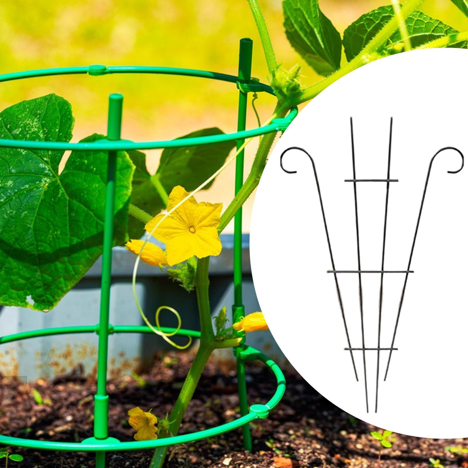 

Решітка для витких рослин Садова багатоцільова атмосферостійка міцна залізна рослина