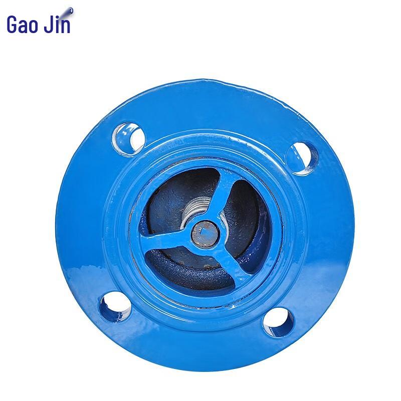 Gaojin HC41X-16 Slow-Closing Vertical Check Valve