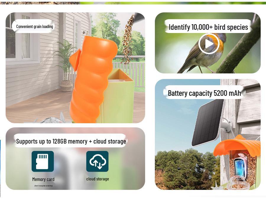 Smart Bird Feeder: Automatic Remote Pet Treat Dispenser & Custom Timer