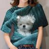 Women's Girl 3D Printed Cat Pattern Summer Casual Street Short Sleeved Top T-shirt