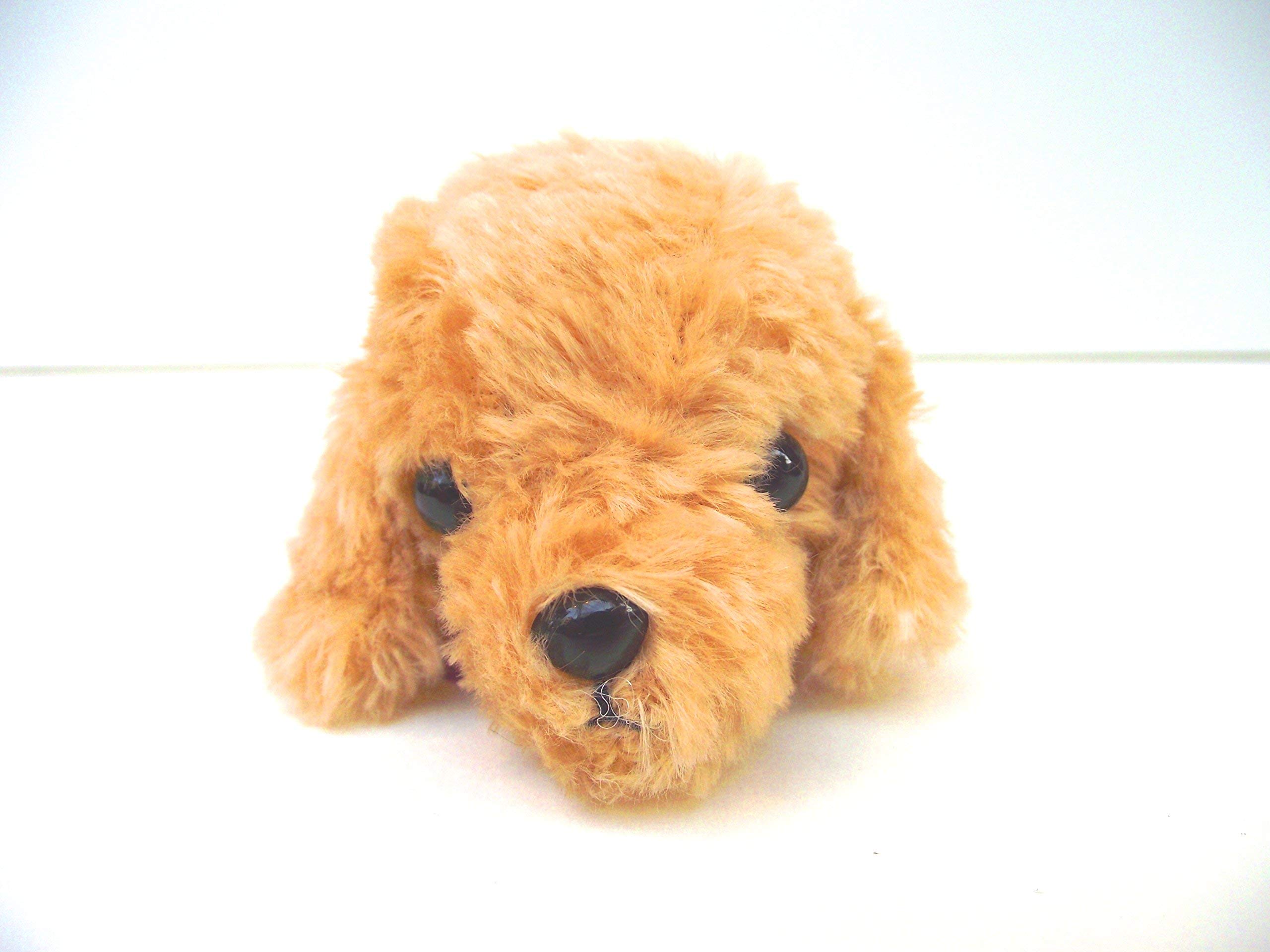 TST Advance Little Beans Poodle Brown 10548BR