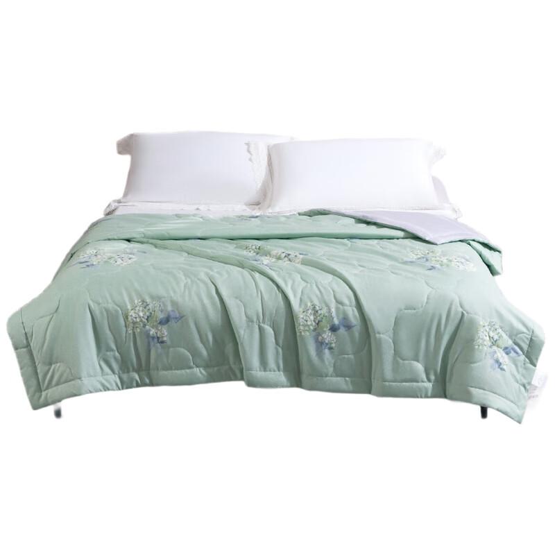 

Mercury Home Yixiang Huayu Summer Cooling Quilt