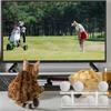 2Pcs Professional Golf Ball Organizer Acrylic Display Rack 8 Ball Storage Double Layer Golf Ball Display Stand Easy Use