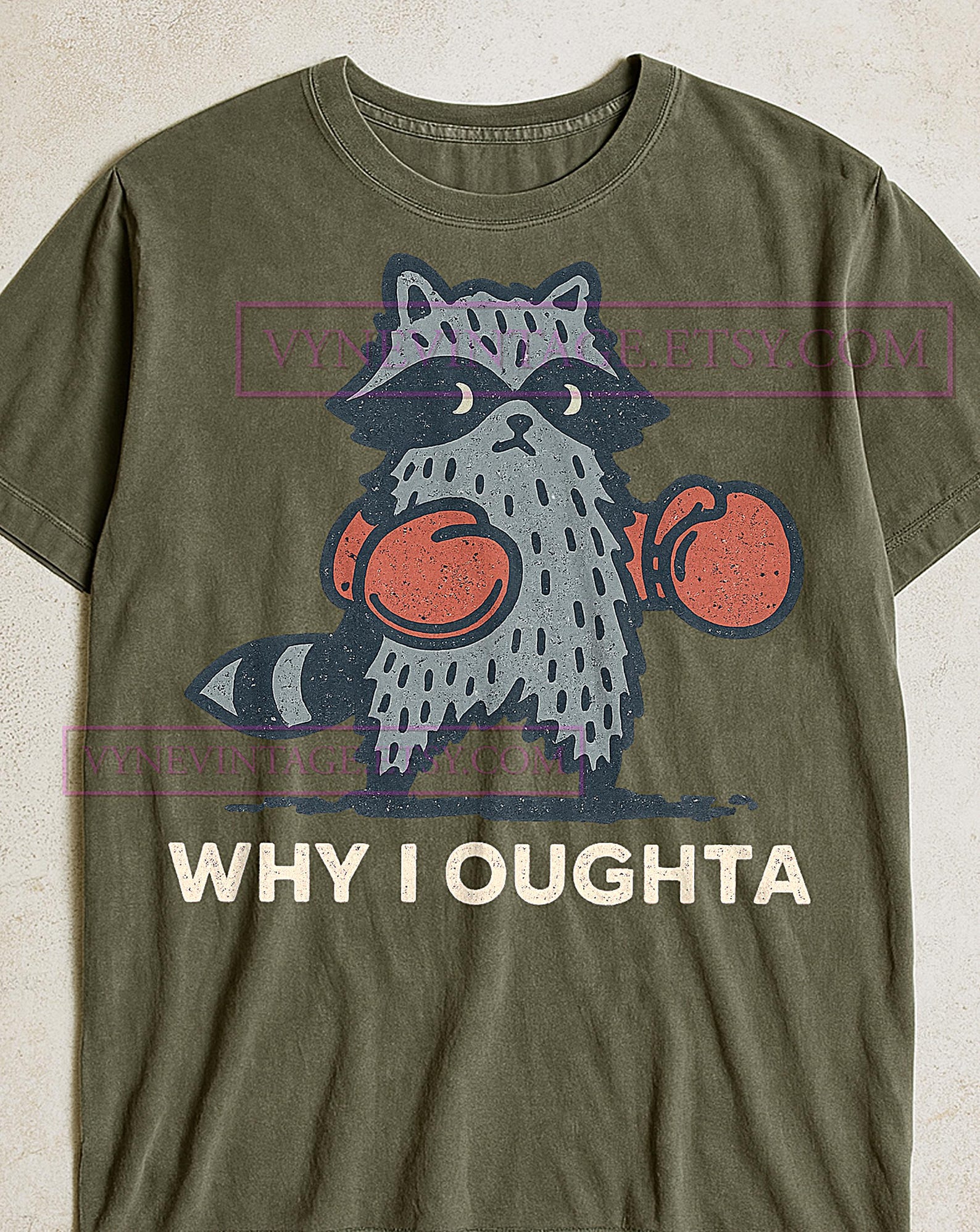 Why I Oughta Raccoon Boxing Gloves T-Shirt, Retro Vintage Cartoon, Funny Raccoon Graphic Tee, Humorous Animal Tee, Raccoon T-shirt 4XL