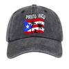 Puerto Rico Boricua Coqui Flag Palm Island Unisex Vintage Adjustable Cap