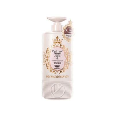 Shampoos & Haarspülung – Shampoos