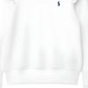 Polo Ralph Lauren Sweater Pony Embroidery Pattern Crew Neck Pullover Long Sleeve Kids Kids Sweater 313916769-001