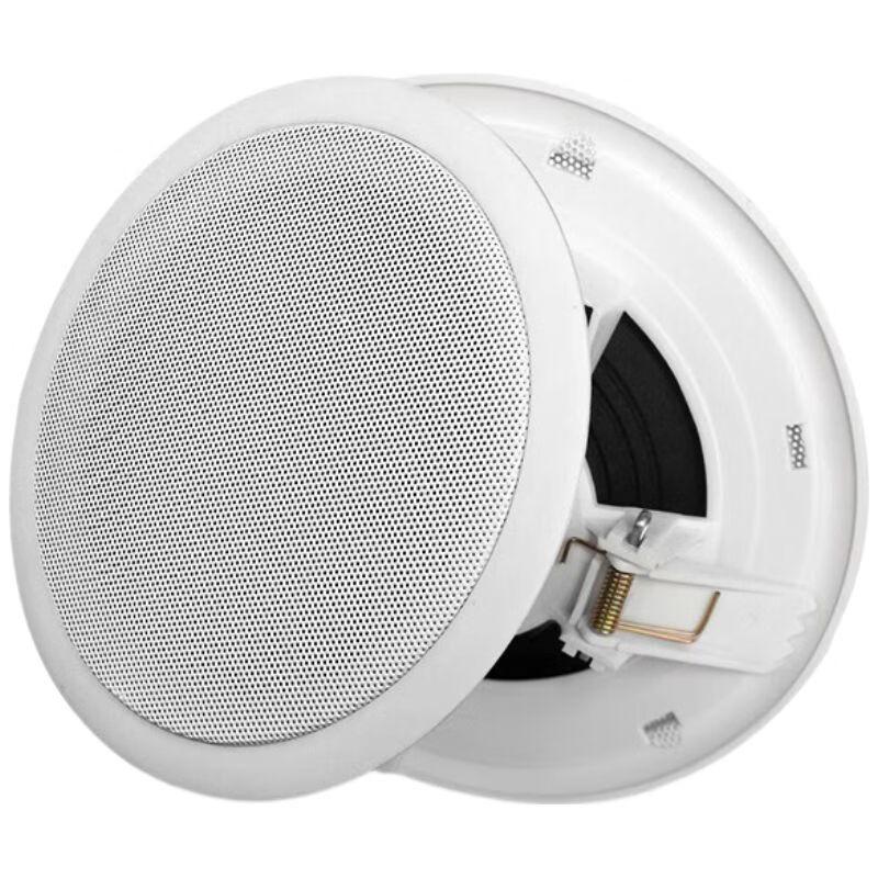 DiYou In-Ceiling Speaker & Amplifier System