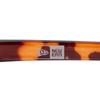 NEW ERA Sunglasses Tortoiseshell Brown Lens BSTN BROWN