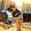Personalized Dog Military Tactical Harness Reflective Dogs Harness Vest Customized Pet Training Vest for Medium Large Dogs