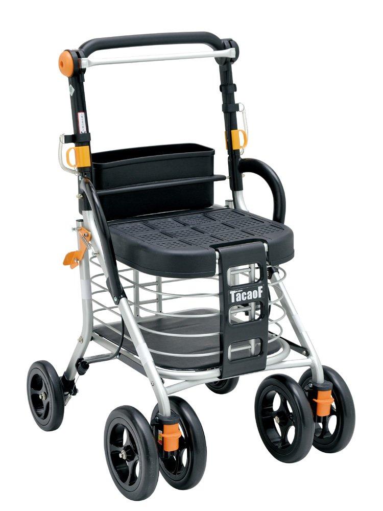 

WS01 Silver Car Standard Type Teikobu Borsa