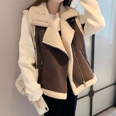 Lamb Wool Imitation Suede Vest Women's Spring and Autumn New Loose Fur Integrated Versatile Vest Jacket Tide