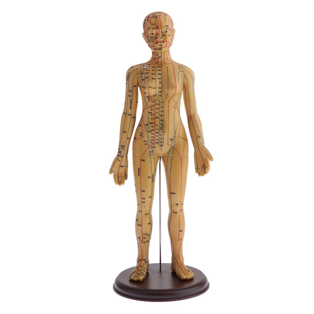 Figure, Male / Full Body