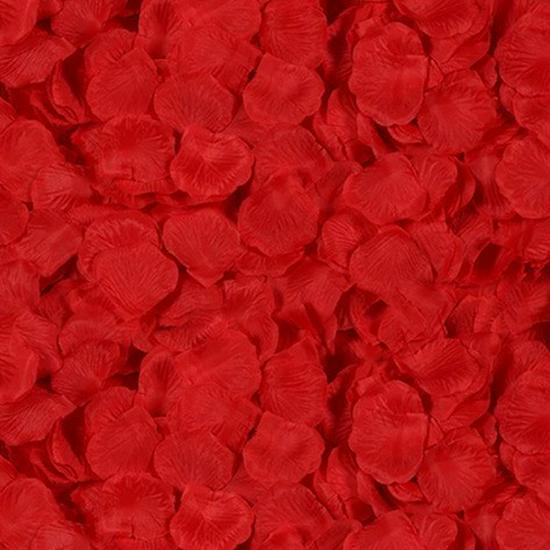 Rose Petal Decor for Wedding Ceremony, Proposal, and Bed Arrangement