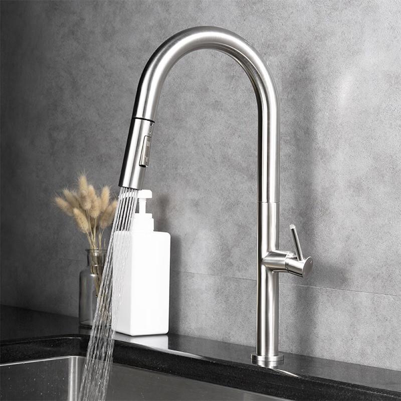 TLXT Stainless Steel Kitchen Sink Faucet with Pull-out Sprayer