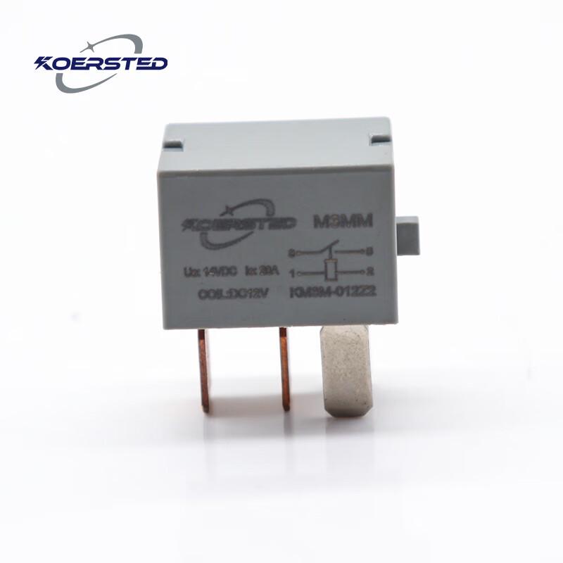 

Korsted 12V 30A Automotive Relay and Fuse Box Kit CN plug (adapter included)