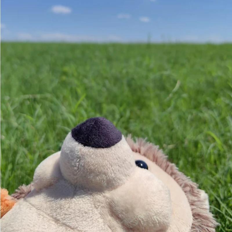 18cm Söt Simulering Brun Igelkott Plyschdocka Gosedjur Mjuka Gosedjur Leksaker för Barn Flickor Pojkar Barn Heminredning