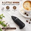 Handheld Milk Frother with Stainless Steel Coil Whisk, 21cm