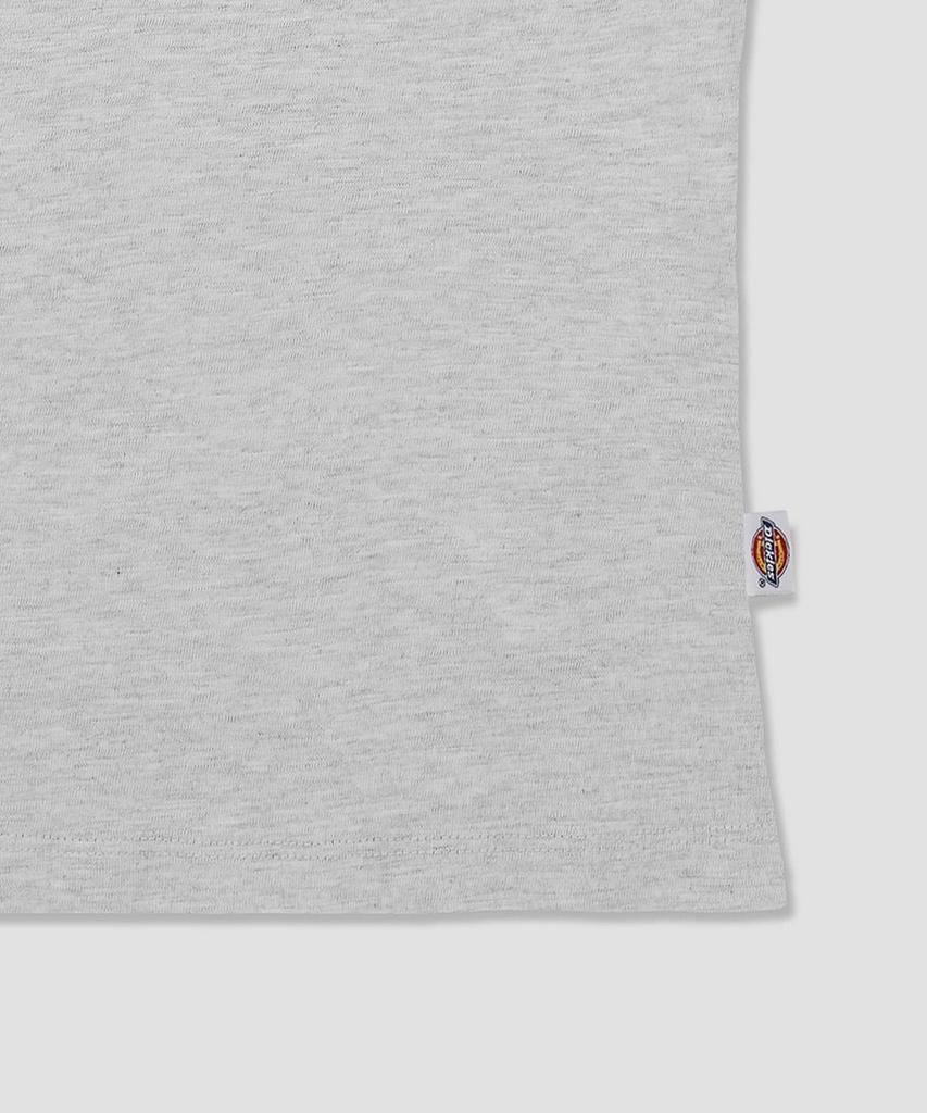 DICKIES Starpoint Slub Ringer T-Shirt White Melange
