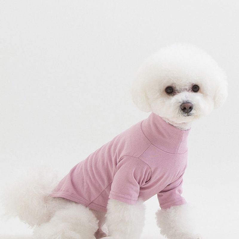 Foreverybari Rollkragenshirt (Rosa)